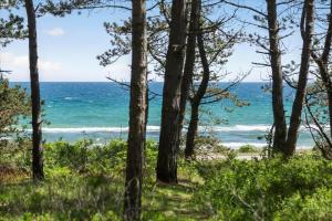 84199-Ebeltoft-Sagavej-24