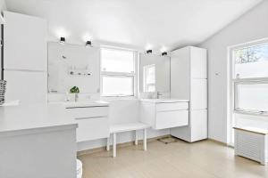 BL1598-Blokhus-Raevestien-2