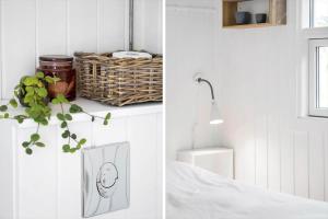 BL1598-Blokhus-Raevestien-2