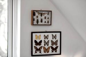 13300-Hojby-Agardsvej-19