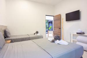 Somnara Espuma de Mar Shared Pool