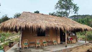 COI NGUON FARM GLAM Mang Den