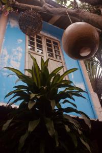 Rabbit Hole Villa