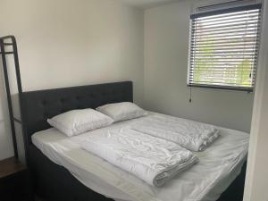 Chalet by Water in Idskenhuizen Recreation Park