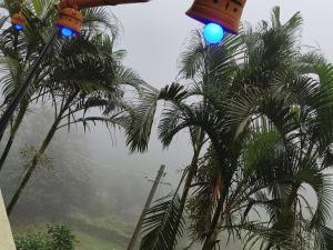 NISHANI ESTATE Homestay