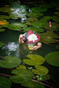 Tiến Yên Farmstay