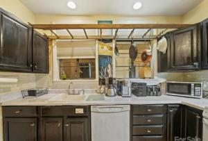 Mountain Cottage on 7 Acres