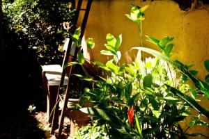 Khun Nai Tern Sai Hotel