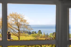 84615-Knebel-Fuglsovig-36