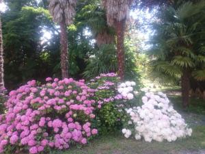 Hotels Hotel Le Mas Fleuri : photos des chambres