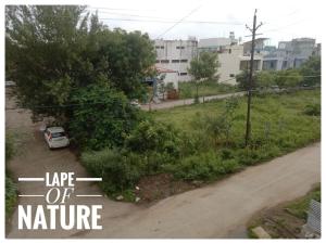 Cozy Home Stay Indore