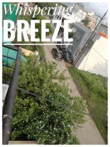 Cozy Home Stay Indore