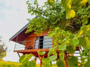 Chaya Villa Sigiriya