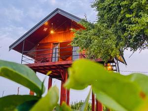 Chaya Villa Sigiriya