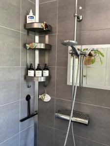 Beautiful house with a charming garden