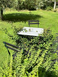 Beautiful house with a charming garden