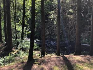 Ardennes villa with riverside garden and views