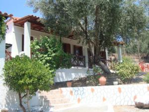 Sonia Studios Lesvos Greece