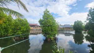 Bell Farms and Resorts