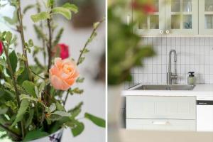 G410-Lemvig-Porsevej-10