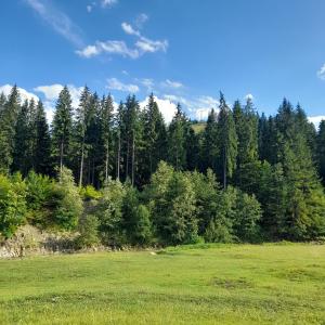 Casa tradițională bucovineana