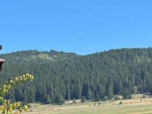 Aqua Garden Junior Miercurea Ciuc