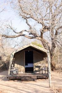 Masingitana Tented Camp
