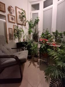 Apartments Grabovica