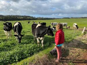Burton Farmhouse - Reconnect with Nature & Family