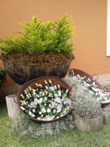 Casa Santa Rosa Hotel Boutique