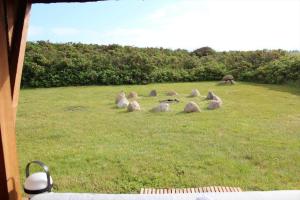 LK1877-Lokken-Majvej-2