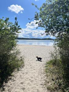 Ferienwohnung mit Balkon FeWo 11 Gustow