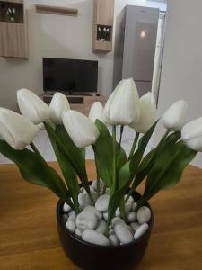 DownTown Stay Tirana