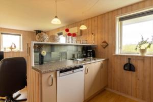 G310-Lemvig-Violvej-10