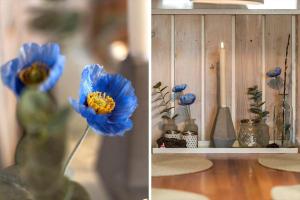 117-Harboore-Neerlandiavej-224