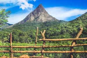 Meemure traval master