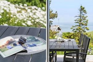 G217-Lemvig-Violvej-17