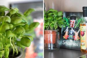 G139-Lemvig-Porsevej-39