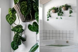 305-Harboore-Arcticvej-6