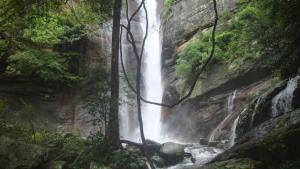 Meemure traval master