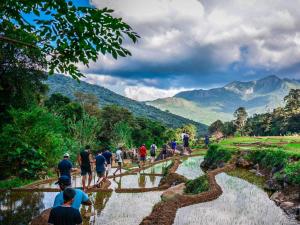 Meemure traval master