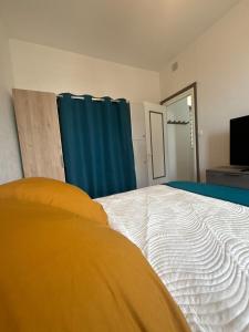 Appartement Roanne proche hopital