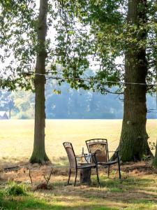 Pipowagen Bijzonder Buitenaf met jacuzzi en sauna