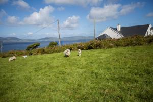 Skellig Bay Cottage