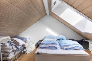 16632-Farevejle-Karuphoj-4-C