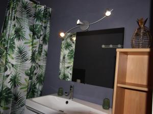 Studio cabine sud avec balcon, animaux acceptés - FR-1-340-108