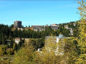 Studio cosy 3 pers proche pistes, balcon - FR-1-340-167