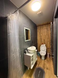 Садиба-Сойми