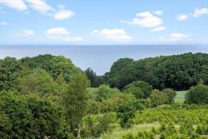 8903-Allingabro-Fyrrevej-12