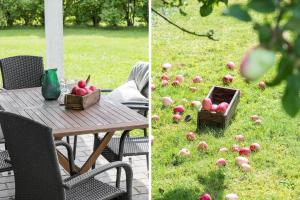 8843-Glesborg-Lyngtoften-34